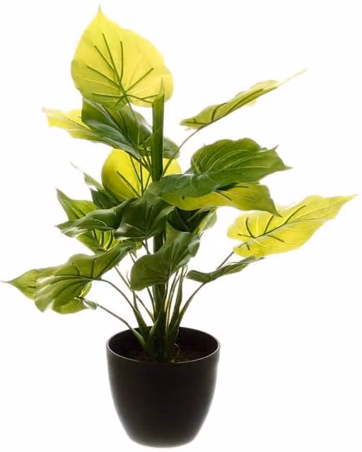 Planta artificial verde con maceta de cemento Atmosphera, Altura: 45 cm