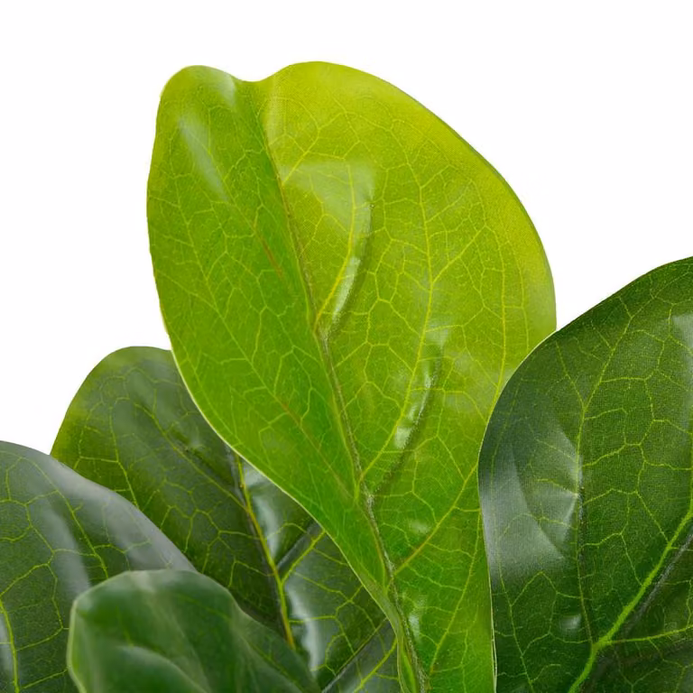 Planta artificial Ficus de vidaXL con macetero, color verde, Altura: 90 cm