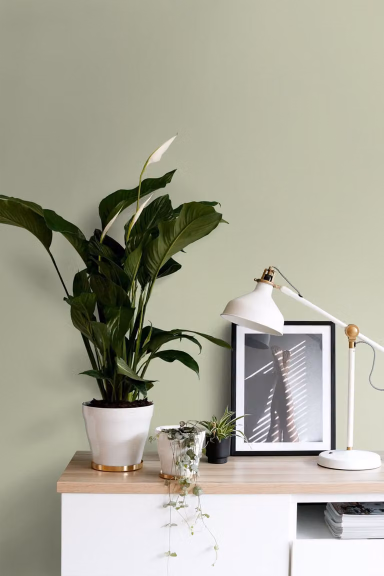 Pintura de interior mate ESTAhome color verde grisáceo claro, 2 l