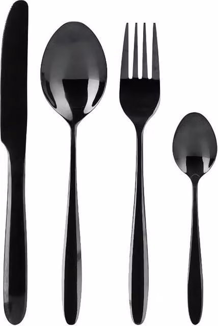 Juego de cubiertos de acero inoxidable de 24 piezas negro pulido con estuche de EXCELLENT HOUSEWARE
