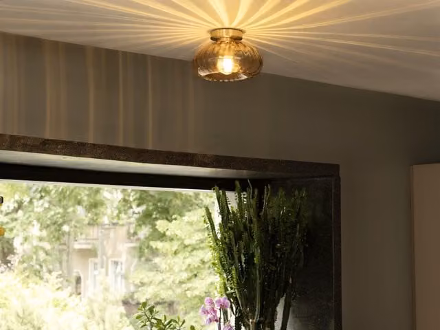 Lámpara de techo Osram Decor ovalada de vidrio y metal en color oro y negro con base E27, Diámetro: 28 cm