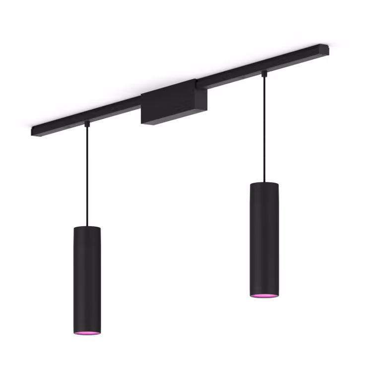 Kit de base de techo recto Philips Hue Perifo con 2 luminarias suspendidas en color negro