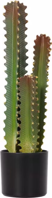Planta Artificial Cactus HOMCOM Verde con Maceta y 3 Hojas para Decoración de Interior Altura: 66 cm