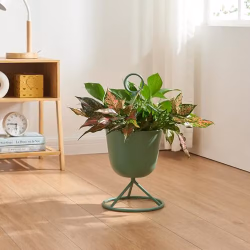 Soporte para plantas en.casa con macetero incluido, base circular de metal en color verde, Altura: 48 cm, Diámetro: 23 cm