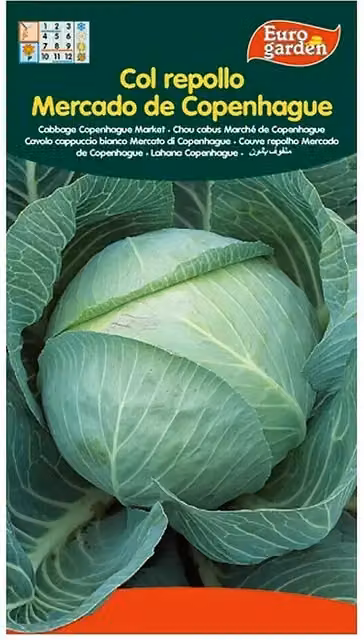 Semillas de repollo de mercado de Copenhague Euro Garden variedad verde
