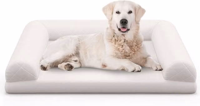 Cama ortopédica NORTHIX para perros medianos con espuma de diseño de panal, funda extraíble y base antideslizante, color beige
