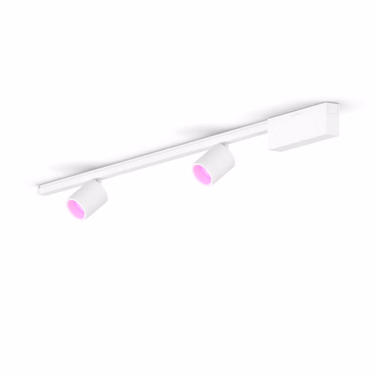 Kit de base de techo recto Philips Hue con 2 focos LED blancos de metal de estilo moderno