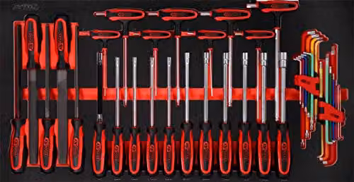 Juego de limas y llaves Allen KS Tools 813.0042 con insertos, 42 piezas, rojo y multicolor