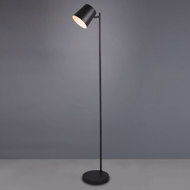 Lámpara de pie LED Blake de Reality Leuchten, atenuable, color negro, metal, para salón o comedor