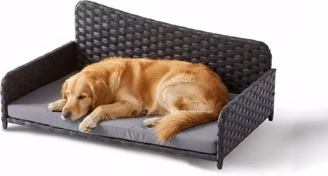 Cama de ratán para perros Relaxdays, sofá elevado con cojín para interior y exterior, Gris, An/P/Al: 87 x 38 x 49 cm