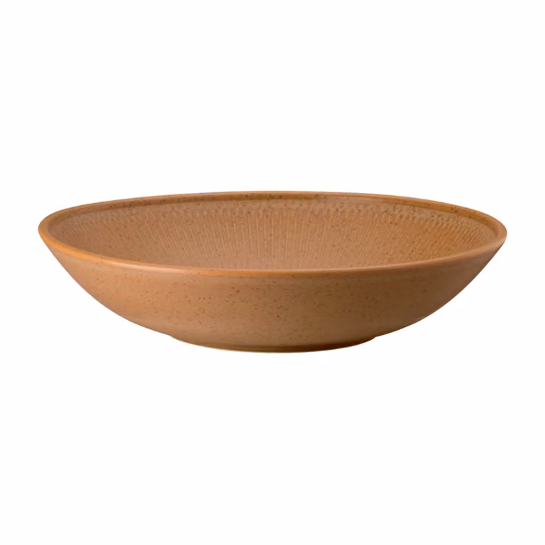 Plato hondo Rosenthal Thomas Clay color naranja de cerámica de 23 cm