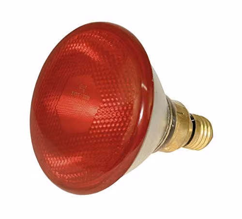 Pack de 10 bombillas de bajo consumo por infrarrojos Kerbl con reflector de 175 W en color rojo