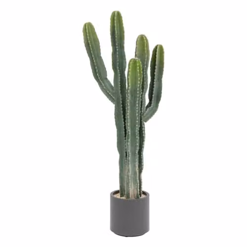 Cactus Exotic Panama de Atmosphera en color verde con maceta de plástico, Altura: 117 cm