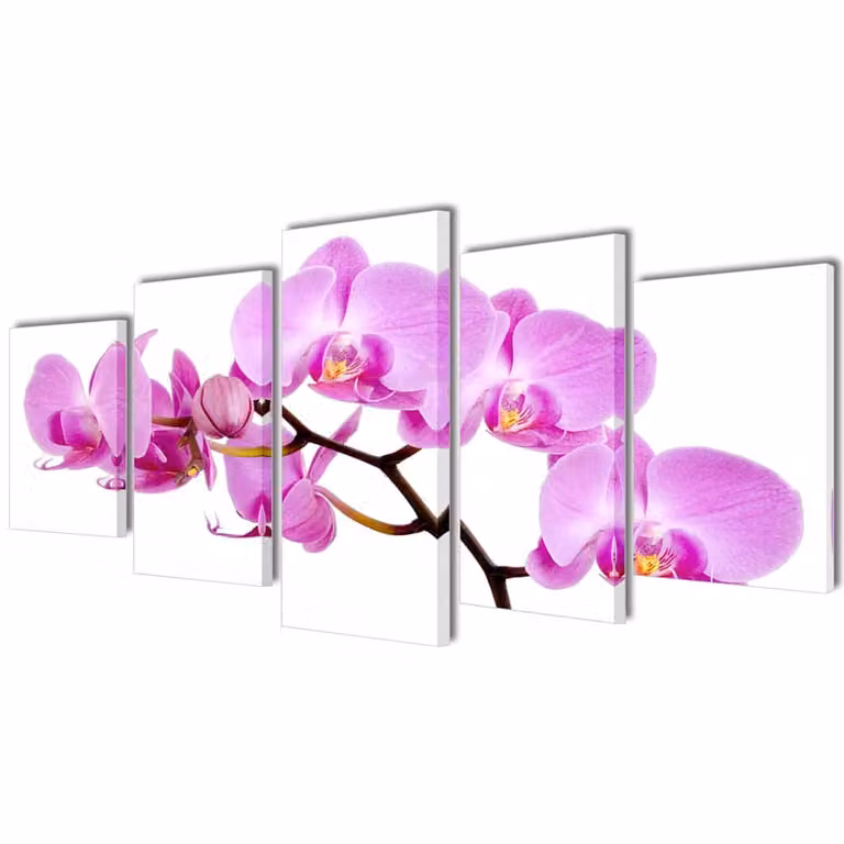 Set decorativo de lienzos para la pared con diseño floral de orquídeas vidaXL, multicolor y rosa, An/P/Al: 200 x 100 cm