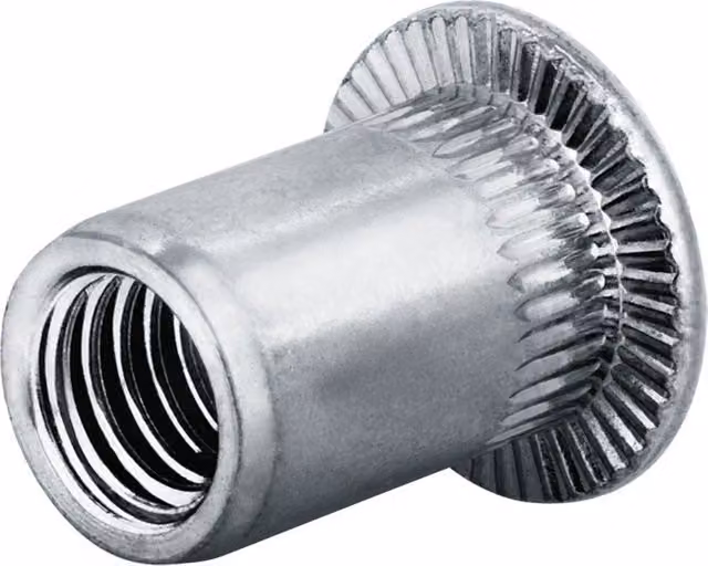 Pack de 50 tuercas remachables M16 Goebel de acero galvanizado color plata con cabeza plana abierta
