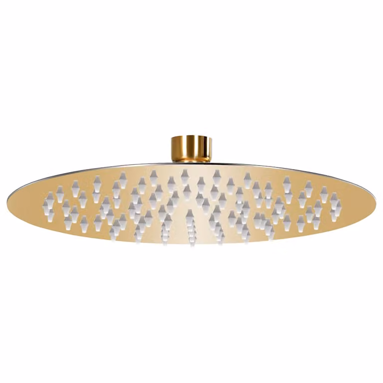 Cabezal de ducha redondo efecto lluvia vidaXL en acero inoxidable dorado de 20 cm