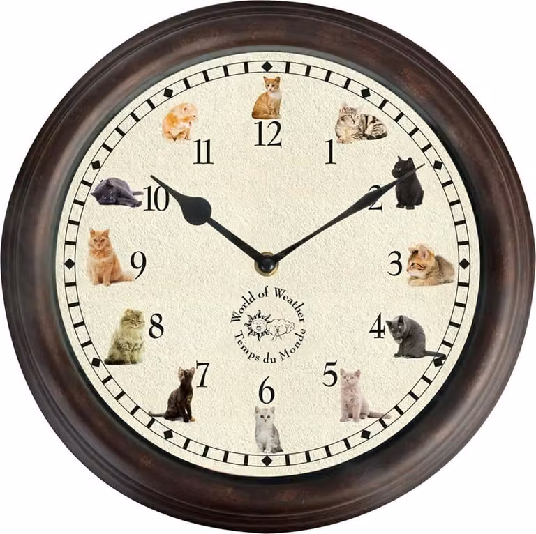 Reloj de pared analógico Esschert Design con sonidos de gato, redondo, de plástico, Diámetro: 30 cm