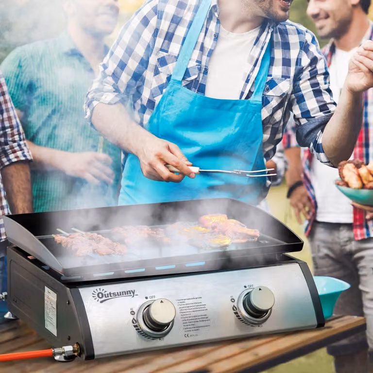 Parrilla de mesa a gas Northio con 2 quemadores, acero inoxidable y acero esmaltado, color plateado y negro