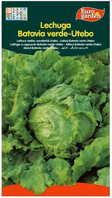 Semillas de lechuga Batavia Euro Garden, 5 g