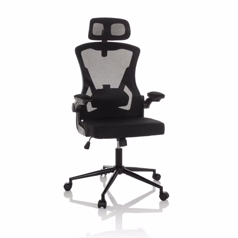 Silla de oficina ergonómica ejecutiva Arigano de hjh Office en color negro con tejido de malla y reposacabezas