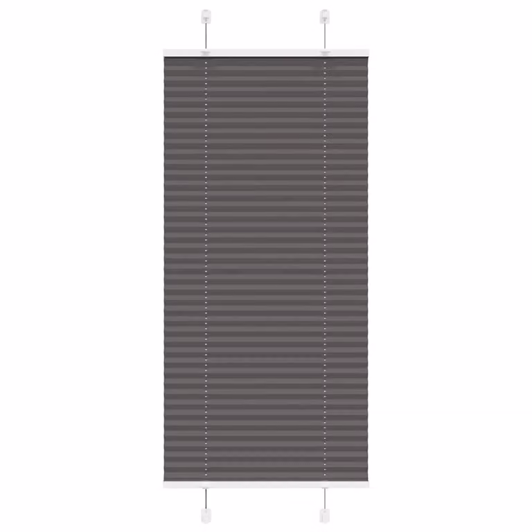 Estor Plisado vidaXL Negro de Poliéster Semitransparente An/Al: 54,4 x 150 cm