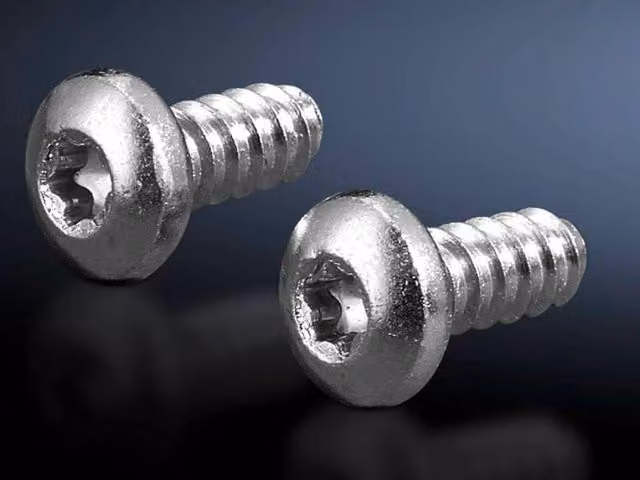 Tornillo hexagonal Rittal 2486.600 de acero inoxidable color plata de 5,5 mm
