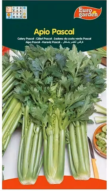 Semillas de apio pascal Euro Garden para huerto vegetal de color verde