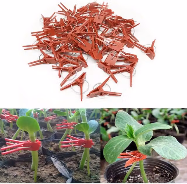 Set de 100 pinzas de plástico rojas ODIPIE para injertar plantas en el jardín de hortalizas