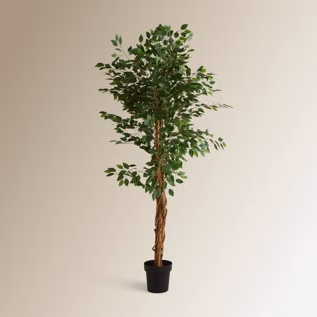 Árbol artificial Ficus Benjamina de El Corte Inglés en color verde, Altura: 180 cm