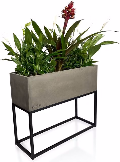Soporte para flores Fiorino tipo Loft de FlexiStyle en color gris, An/P/Al: 62 x 22 x 50 cm