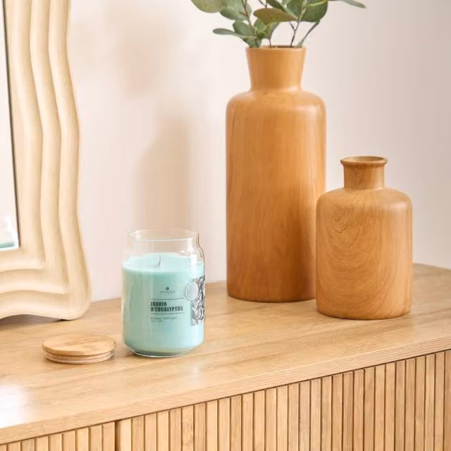 Vela perfumada Viky Jardín de Eucalipto de Atmosphera, aroma floral y frutal, 435 g