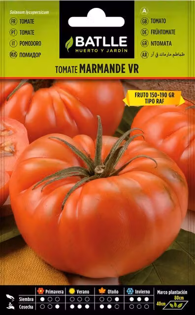 Semillas de tomate Marmade variedad Holanda de Semillas Batlle, pack de 3 unidades