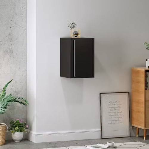 Armario de pared Burlöv de en.casa en acero negro con estante regulable y una puerta para oficina o el hogar An/P/Al: 50 x 33 x 35 cm
