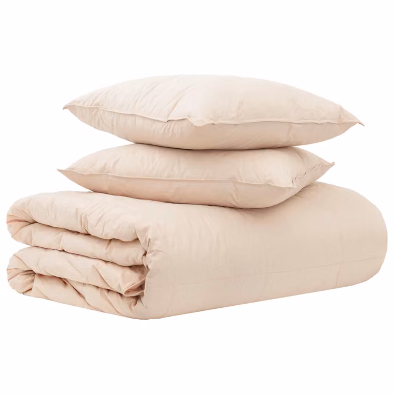 Juego de edredón y almohadas vidaXL de 2 piezas, color beige, para todas las estaciones, An/P/Al: 260 x 220 cm