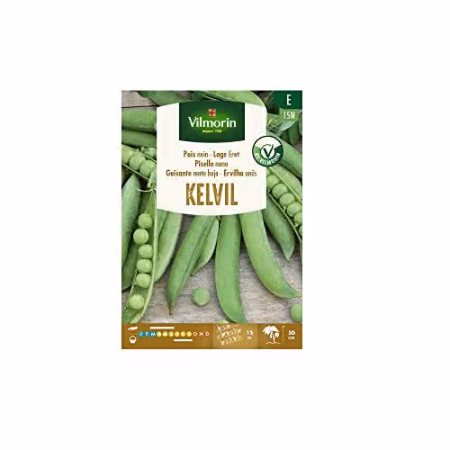 Semillas de guisante mata baja Kelvil de Vilmorin, 150 g