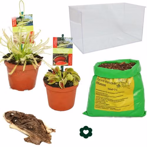 Acuario para plantas carnívoras y acuáticas de interior Exotenherz multicolor con base de madera y plástico