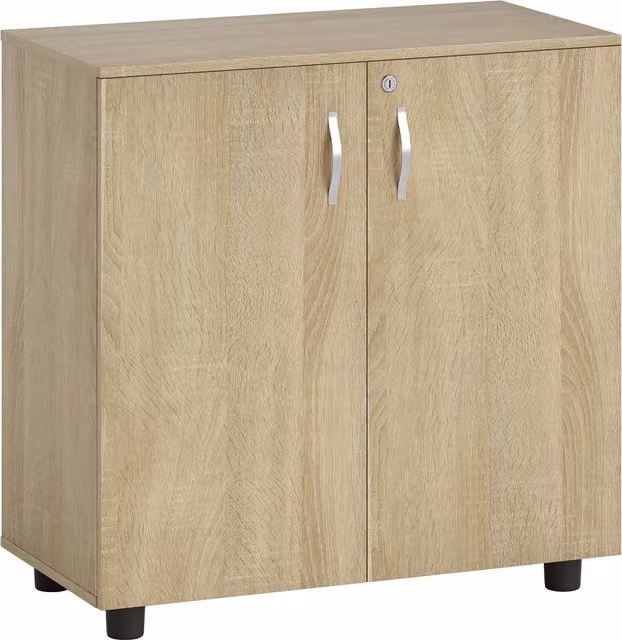 Vinsetto Archivador de Oficina con 2 Puertas y Cerradura, Estantes para Sala de Estar o Estudio, Color Roble, An/P/Al: 80 x 40 x 80 cm