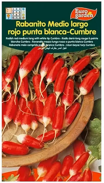 Semillas de rabanito largo de punta blanca Euro Garden para huerto de vegetales