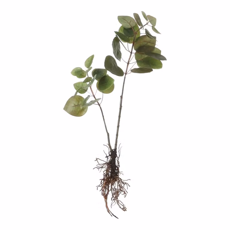 Planta artificial de eucalipto verde con maceta Mica Decorations An/P/Al: 28 x 12 x 64 cm