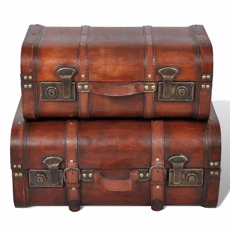 Pack de 2 baúles cofre de madera vintage de vidaXL en color marrón