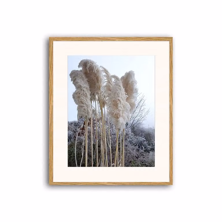 Cuadro de Any Image con impresión de fotografía en papel y paspartú, madera natural y multicolor, An/P/Al: 52 x 62 x 3 cm