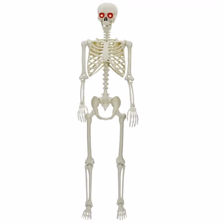 Esqueleto de Halloween vidaXL de color blanco fabricado en plástico para adultos con dimensiones de 155 x 38,5 cm