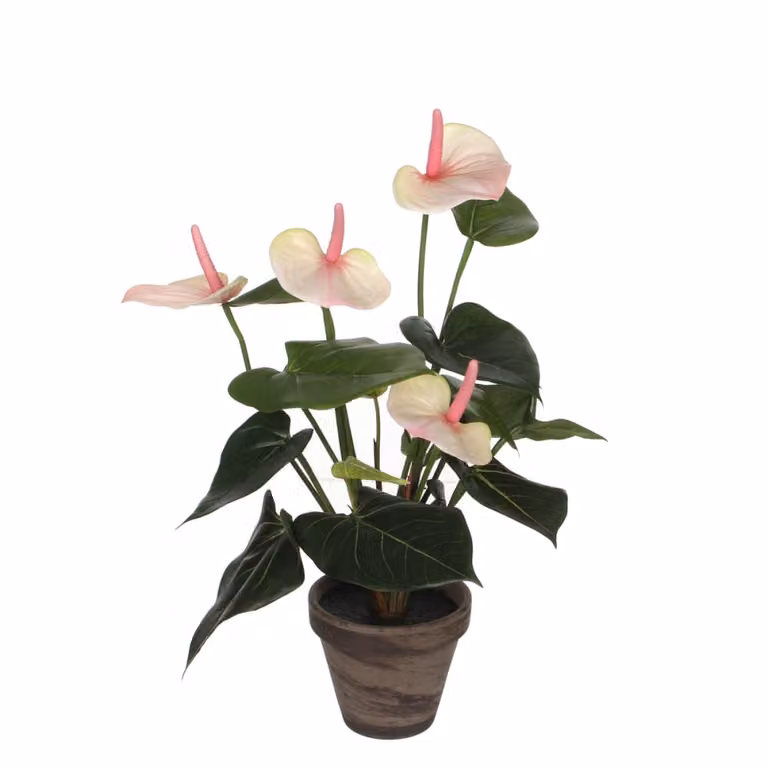 Planta artificial Anthurium rosa claro de Mica Decorations con maceta de cerámica y textil, An/P/Al: 30 x 30 x 40 cm