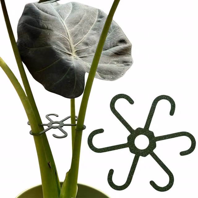 Soporte para plantas y flores Plantinity de plástico en colores beige, verde y multicolor con agarre fuerte de 15 cm