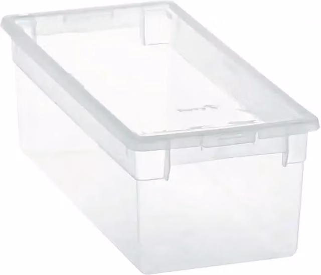 Caja de almacenaje multiusos Terry Light Box transparente con tapa, apilable, An/P/Al: 17,8 x 39,6 x 13,2 cm